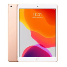 Cargar imagen en el visor de la galería, 2 Micas de Hidrogel con Filtro Blue Light para iPad 8